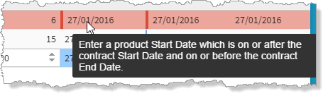 Screenshot showing the cursor hovering over a field in a line that contains invalid data and a validation message.