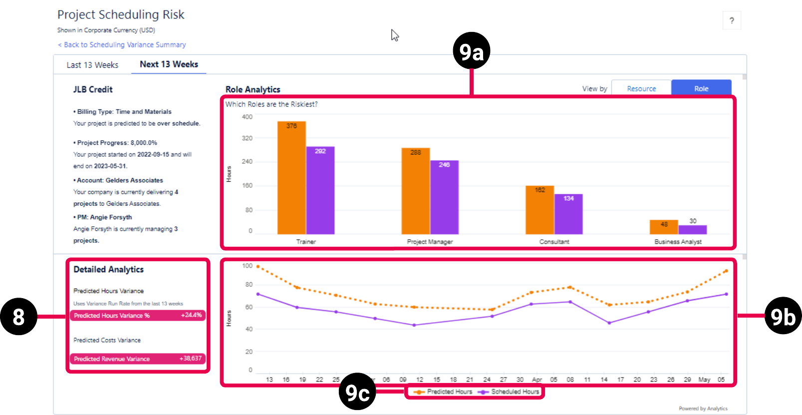 Project Details view of the PSA Project Scheduling Risk dashboard schematic highlighting the key elements of the role view for the next 13 weeks.