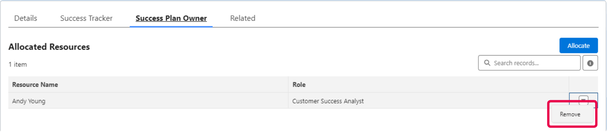 Resourcing tab with Remove button on allocated resource highilghted.