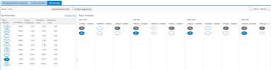 Diagram illustrating Fill Schedule Tab used to Review Information on Both Individual Team Members and Team Schedules