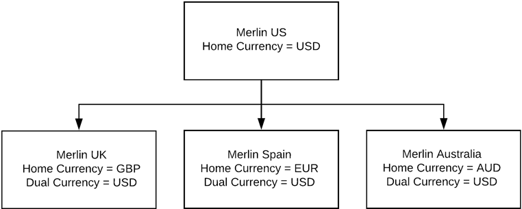 Home currency and dual currency of global company